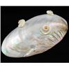 Image 2 : Shell Soapdish (DEC-000689)