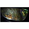 Image 1 : 53.45ct Scarce Glowing Multi-color Ammolite (GEM-058281)