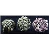 Image 1 : Crocheted Shell Ring Parcel (JEW-005443)