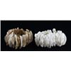 Image 1 : Stretch Shell/MOP Bracelet Pair (JEW-005511)