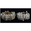 Image 1 : Stretch Shell/MOP Bracelet Pair (JEW-005524)