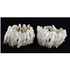 Image 1 : Stretch Shell/MOP Bracelet Pair (JEW-005528)