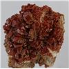 Image 1 : 365ct Premium Red Vandanite Crystal Cluster (MIN-004249)