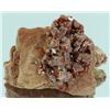 Image 1 : 640ct Premium Red Vandanite Crystal Cluster (MIN-004304)