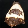 Image 1 : Handcarved Gastropod Shell (SHL-000168)
