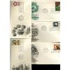 Image 1 : 1967 US & UN FIRST DAY COVER COLLECTION (STM-004370)
