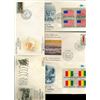 Image 2 : 1980 US & UN FIRST DAY COVER COLLECTION (STM-004608)