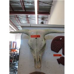 Cow skull