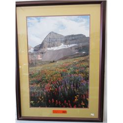 Framed print of a mountain scene