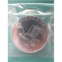 .9999 Fine Silver "Eagle & Fish" coin - 2014