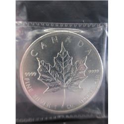 2013 Canadian 1 Troy Oz. Maple Leaf .9999 Silver Coin