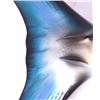 Image 11 : Blue Marlin Trophy Wall Mount