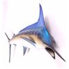 Image 3 : Blue Marlin Trophy Wall Mount