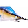 Image 4 : Blue Marlin Trophy Wall Mount