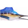 Image 5 : Blue Marlin Trophy Wall Mount