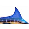 Image 6 : Blue Marlin Trophy Wall Mount