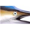 Image 9 : Blue Marlin Trophy Wall Mount