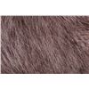 Image 10 : Waterbuck African Trophy Shoulder Mount