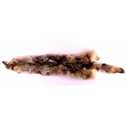 Tanned Coyote Hide