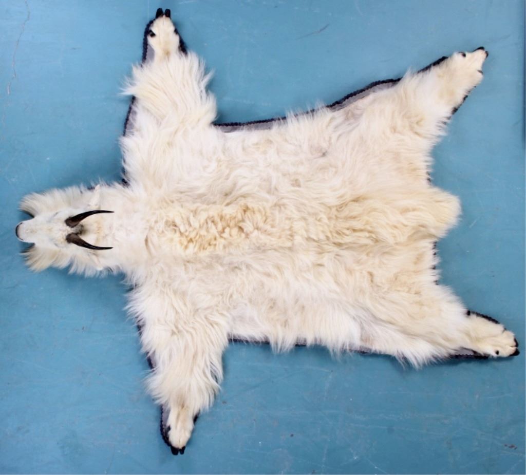 Mount Goat Rug Montana Large Mountain Goat Trophy Rug