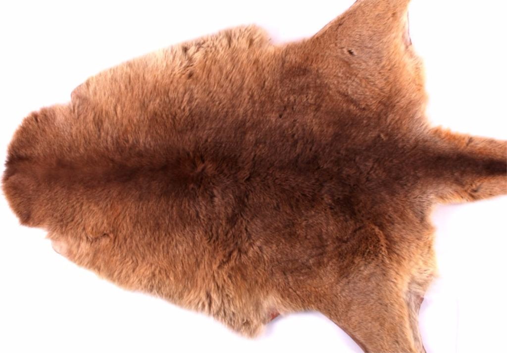 Kangaroo Hide Rug Tanned Australian Kangaroo Hide