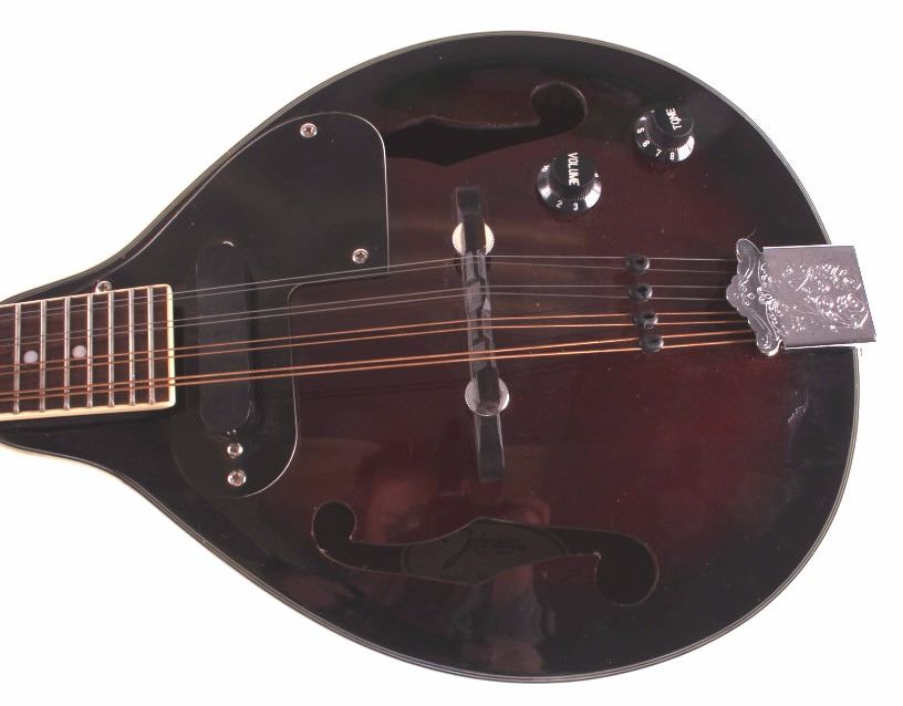 Johnson Mandolin with Case