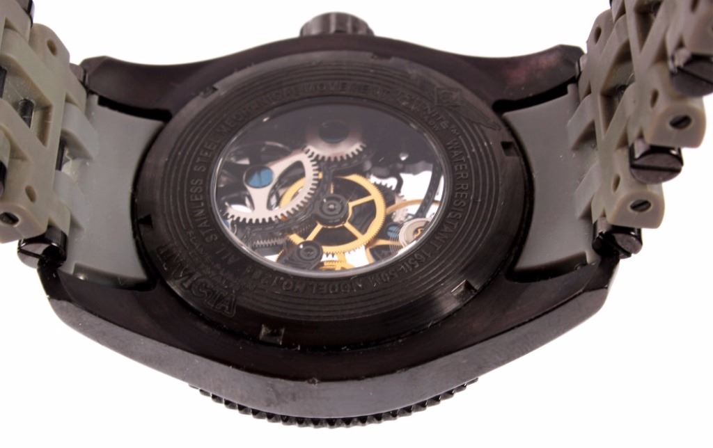 invicta sea spider skeleton