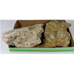 FLAT OF PETRIFIED WOOD & FOSSILS