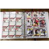 Image 1 : BINDER OF 191 2004-5 HOCKEY CARDS