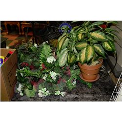 LOT OF 2 HANGING PLANTS