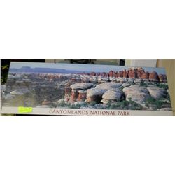 CANYONLANDS NATIONAL PARK SCENIC PICTURE