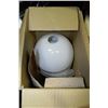 Image 1 : BOX WITH 5 GLASS LAMP SHADES