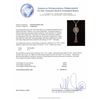 Image 3 : 0.73ctw Diamond and Ruby Pendant With Chain - 14KT White Gold