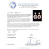Image 3 : 1.48ctw Tanzanite and Diamond Earrings - 14KT Two-Tone Gold