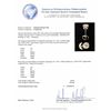 Image 3 : 1.51ctw Diamond Solitaire Earrings - 14KT White Gold