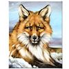 Image 3 : Fantastic Fox by Martin Katon