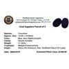 Image 2 : 17.18ctw Oval Mixed Blue Sapphire Parcel