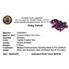 Image 2 : 9.38ctw Fancy Ruby Parcel