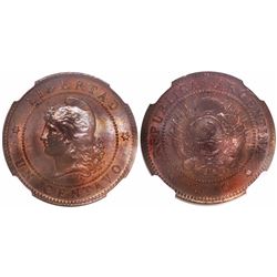 Argentina, copper 1 centavo, 1890, encapsulated NGC MS 63 BN, tied for finest known in NGC census.