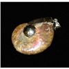 Image 1 : NATURAL IRIDESCENT AMMOLITE FOSSIL PENDANT