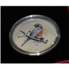 Image 1 : 2013-25 CENT COLOURED COIN AMERICAN ROBIN