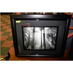 41" X34" BLACK FOREST PICTURE