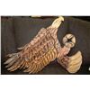 Image 1 : CARVED WOODEN HAIDA EAGLE WALL PLAQUE - 26" X 35"