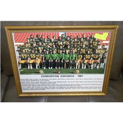 ESTATE 1981 PICTURE OF EDMONTON ESKIMOS