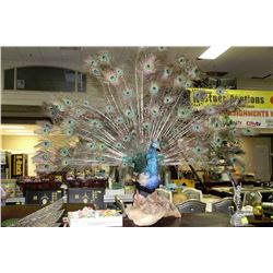 PEACOCK WITH FULL TAIL FEATHERS