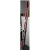Image 1 : DAIWA DOWNHILL SKIIS WITH BINDINGS