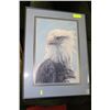 Image 1 : BLUE EAGLE PIC SIGNED BY CANADIAN ARTIST B HELIN
