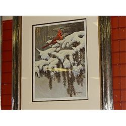 FRAMED LIMITED EDITION PRINT - NATURES ORNAMENT - CARDINAL - ALAN SAKHAVARI - GALLERY ESTIMATE ~$575