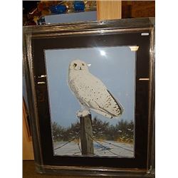 FRAMED LIMITED EDITION PRINT - RETURN TO WINTER - SNOWY OWL - RANDY FEHR - GALLERY ESTIMATE ~$875