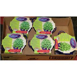 BOX OF 5 BUCKETS OF HERBS (SWEET BASIL)
